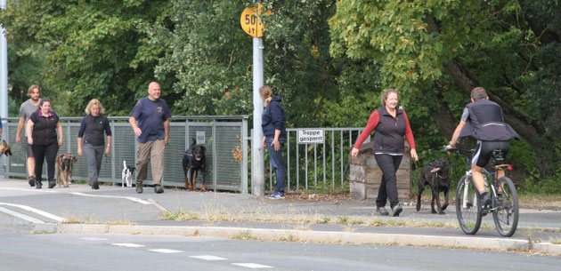 Fu&szlig;g&auml;nger und Radfahrer an Stra&szlig;enkreuzung mit Ampel, Gr&uuml;nfl&auml;chen im Hintergrund