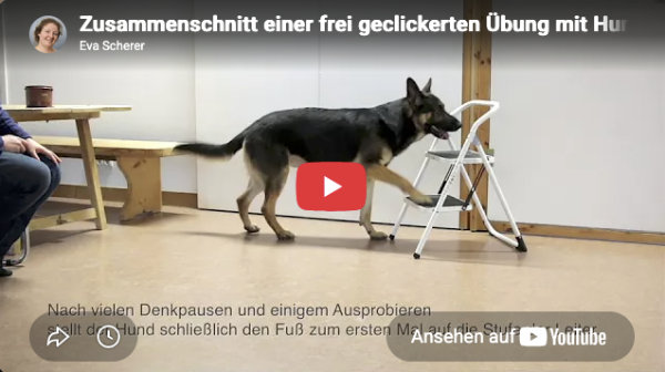Vorschaubild auf das Video, Eva Scherer bei einer Clicker-Übung